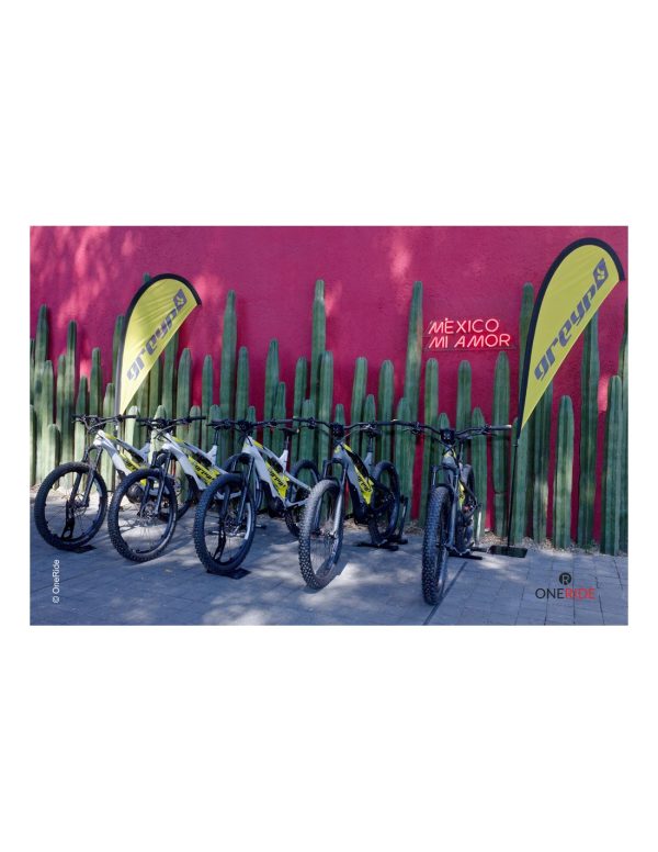 Hecho en Croacia Europa bicicleta electrica marca Greyp modelo G6-3 Avenida Mazaryk Polanco Ciudad de Mexico