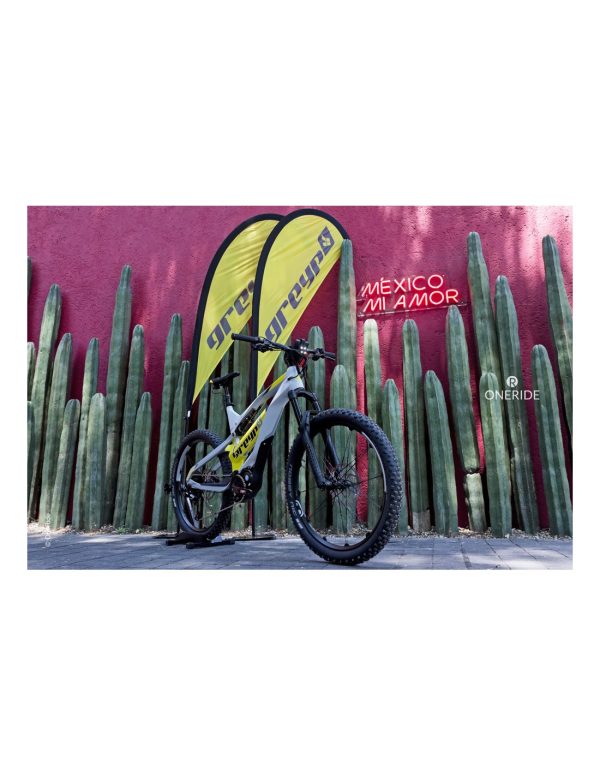 Hecho en Croacia Europa bicicleta electrica marca Greyp modelo G6-3 cactus mexicanos
