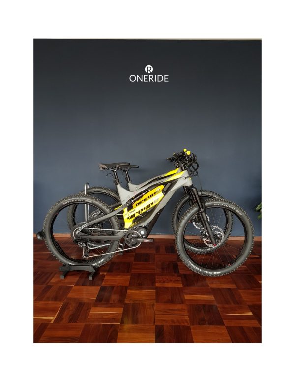 Bicicleta Electrica de montaña All-Mountain Greyp Carbon G6-1 talla grande Large