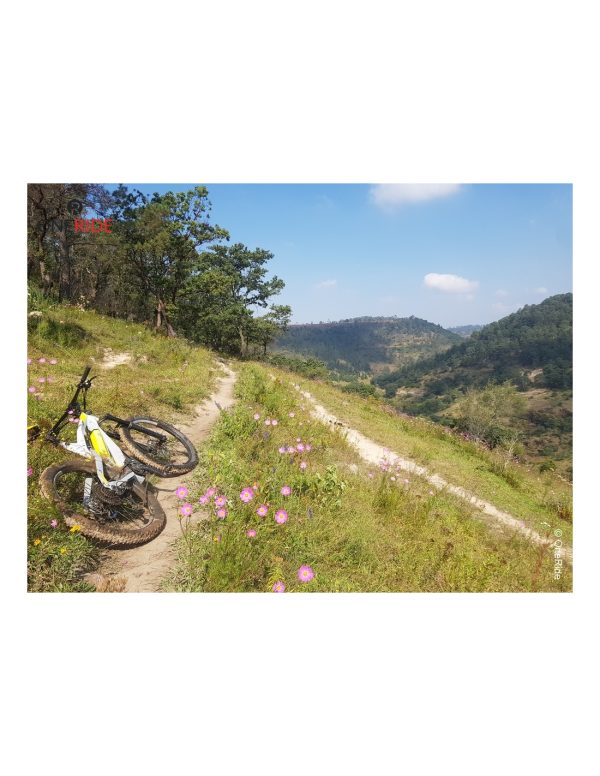 Bici Electrica de montaña Carbon premium Austria Croacia GREYP G 6 3 45 kmh Morelia Michoacan (1)